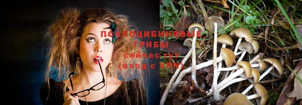 синтетический гашиш Семёнов