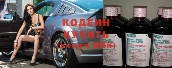 эйфоретик Алзамай